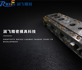 蘇州潤(rùn)飛精密模具科技有限公司